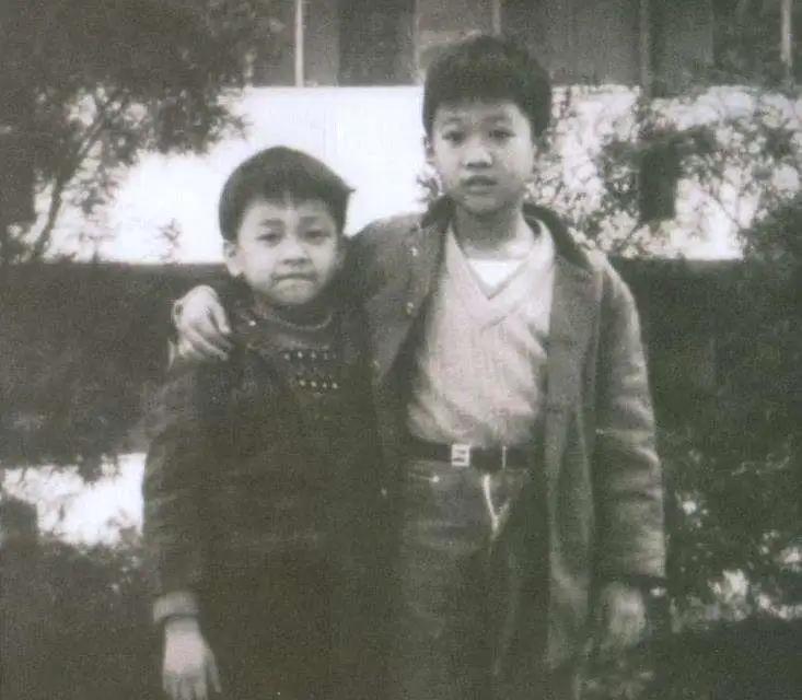 黄家驹的逝世的日子,黄家驹去世后黄家驹有多伤心