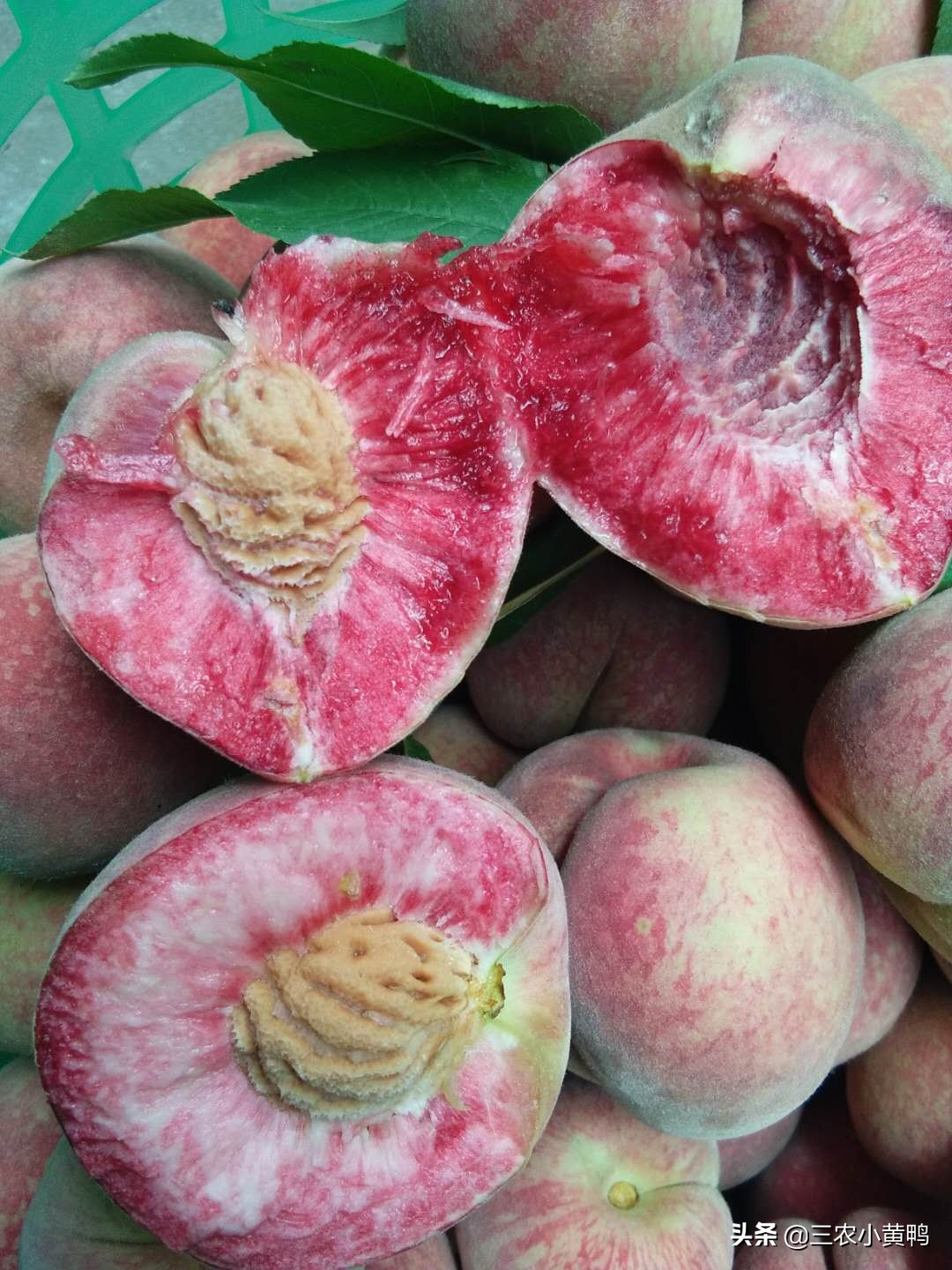 论农民自家桃子摆地摊，农民摆地摊靠谱吗？我是不想摆地摊了，亏