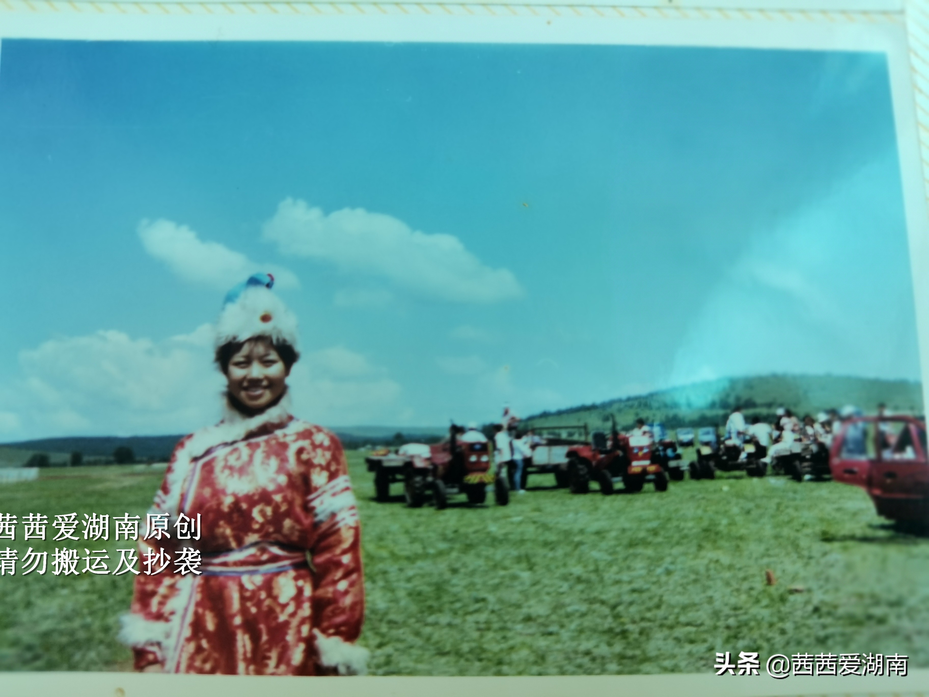 湖南长沙古寺开福寺,开福寺千年古树