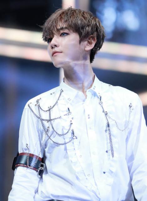 动物系内娱男爱豆,动物系爱豆完整版