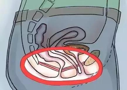 女人的第二张脸盆底肌,女人的第四张脸