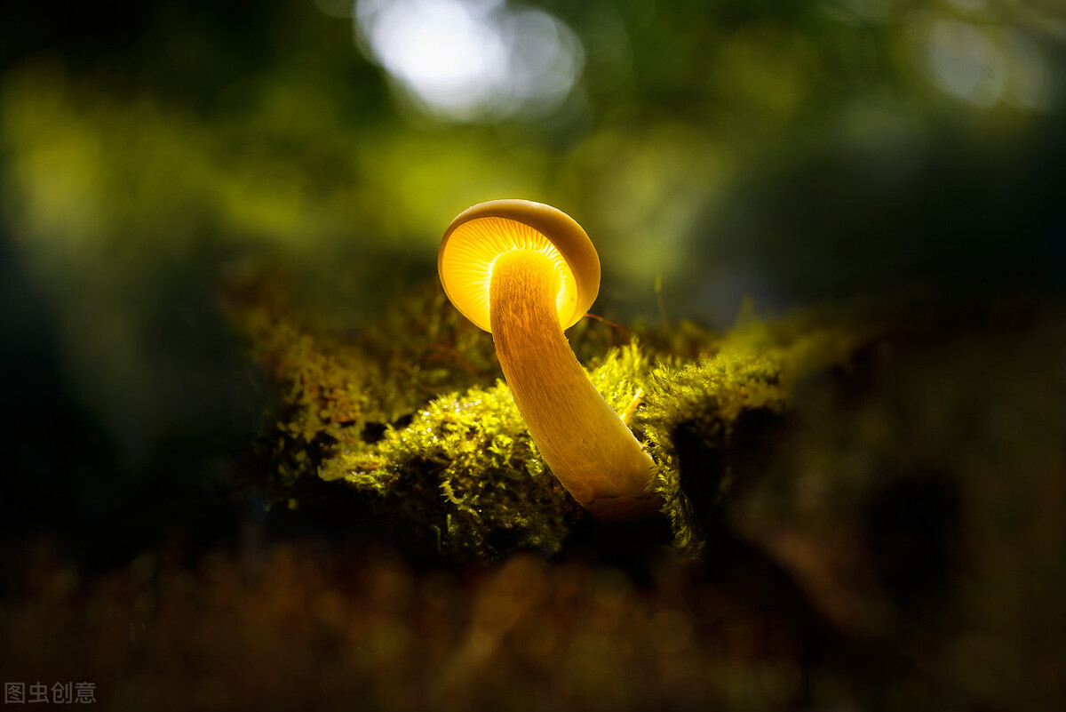 那些曾经太过美好以至于无法割舍,那些曾经刻骨铭心的感情