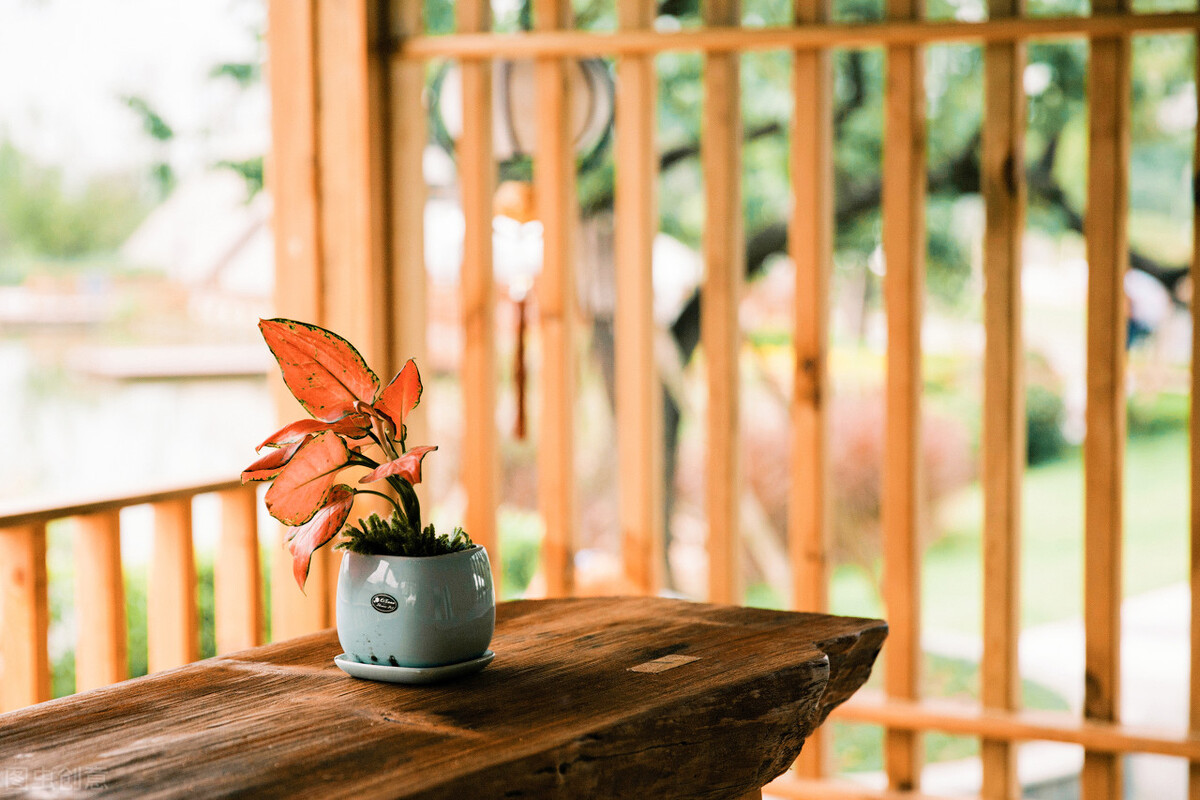 竹家具简约,竹家具制品大全