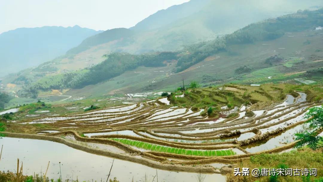 老翁七十犹强健，没膝春泥夜叱牛