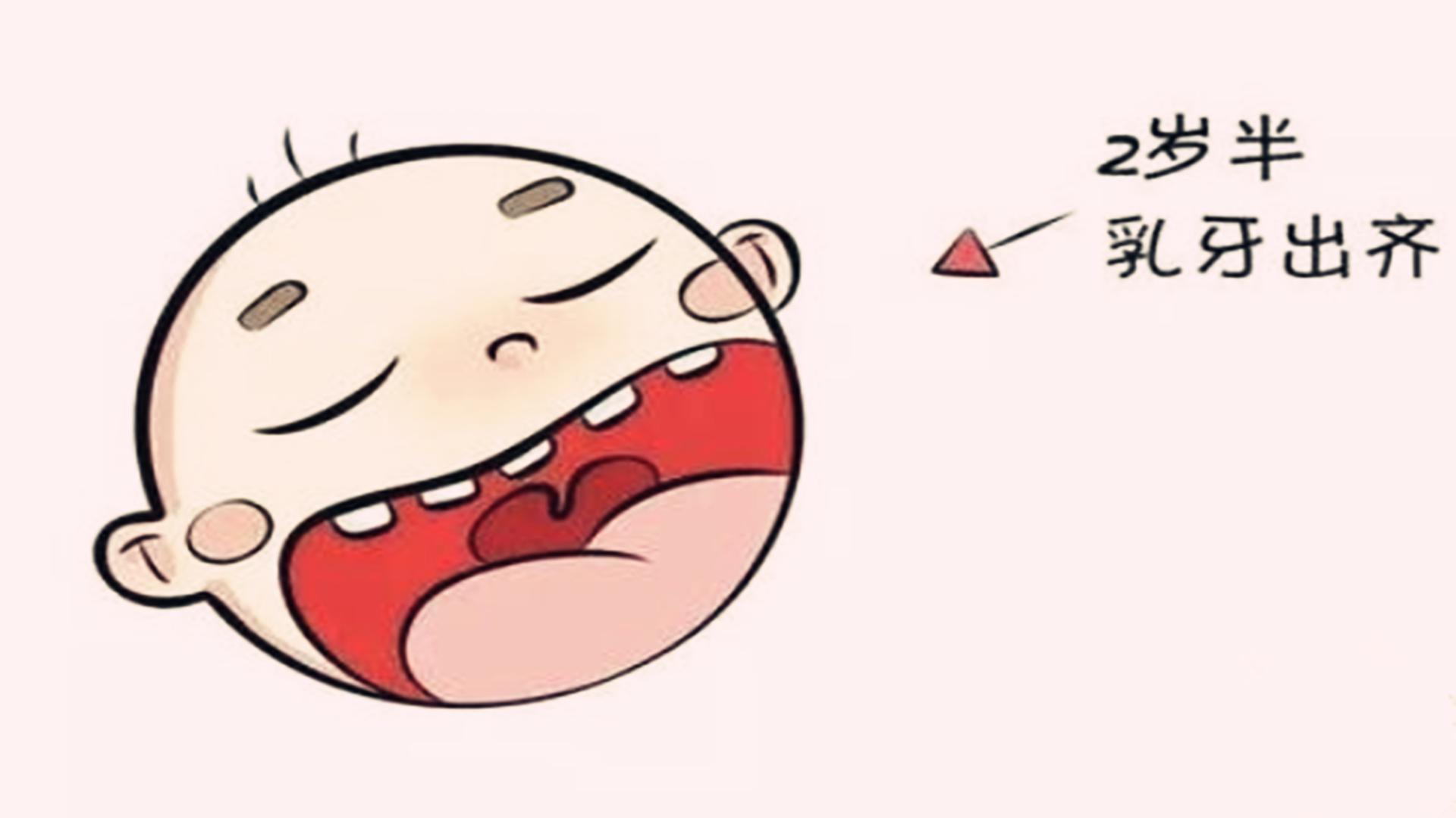 保存孩子牙齿,孩子的乳牙储存起来真能救命吗