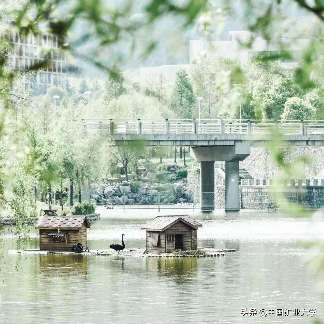 我不要我觉得我要你觉得,我不要我觉得我要你觉得是什么梗