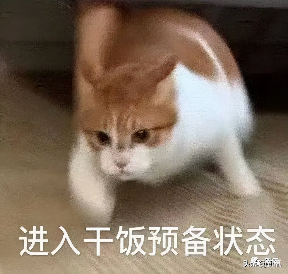 钟楚曦给网红化妆,钟楚曦百变波点