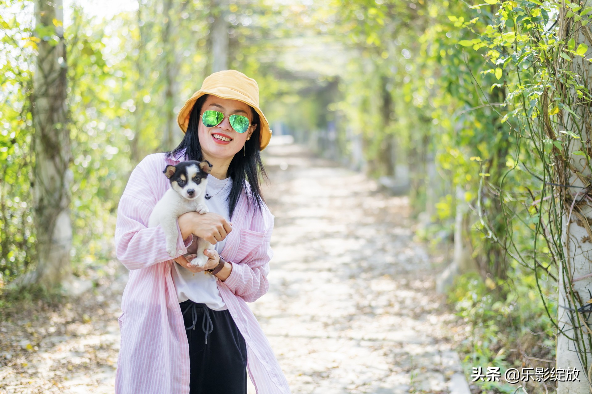 带小花狗去野外生存,带着小花去兜风