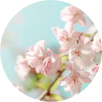 开学啦迎接新生,开学啦迎接新的学期