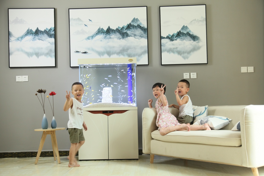 冬天热带鱼停电10小时能活吗,冬天热带鱼停电了