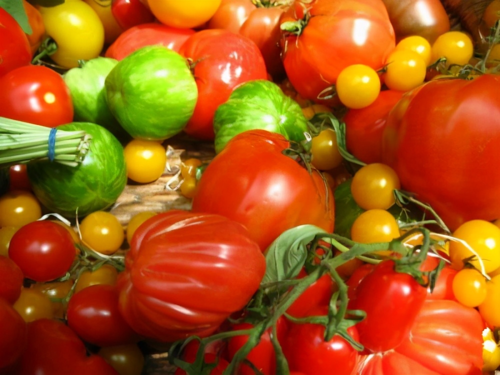 西红柿用的催熟剂对人有害吗,西红柿催熟剂用早了有什么危害