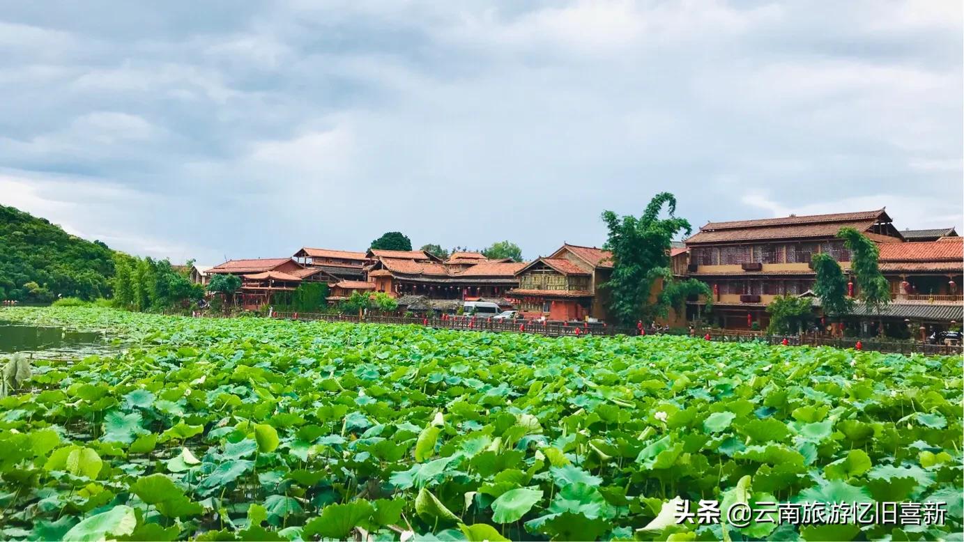 普者黑自驾游攻略,自驾云南普者黑景区攻略