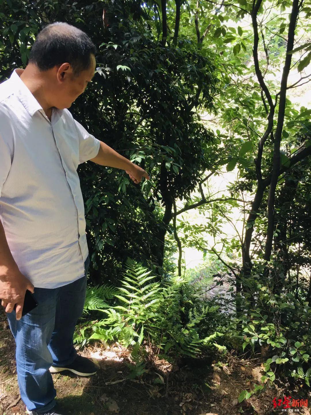 14岁少年性侵杀害表姐案,14岁少年杀害18岁表姐后续