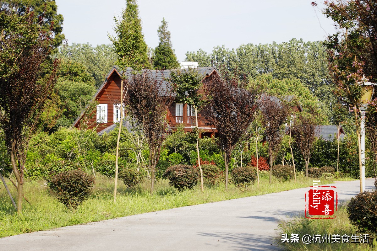 镇江美食三茅宫地锅鸡,镇江美食推荐锅盖面