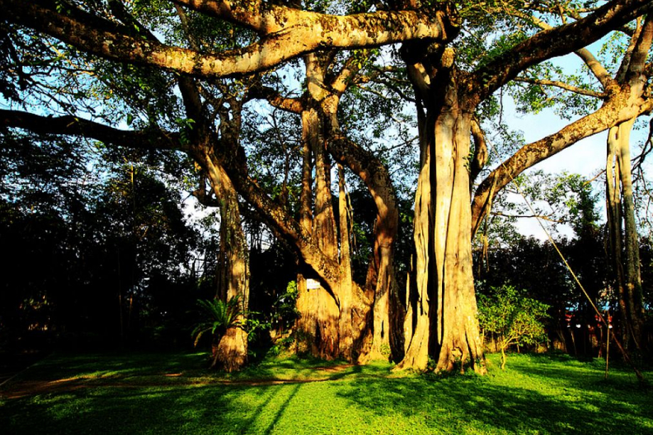 西双版纳景洪铁矿,西双版纳铁矿现状