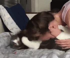 猫为什么喜欢屁股对着主人,猫对着人撅屁股是怎么回事