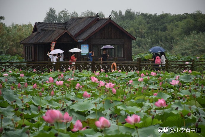 江苏常熟沙家浜旅游攻略,江苏常熟沙家浜地图
