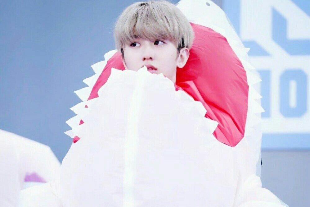 蔡徐坤算歌手还是明星,蔡徐坤是阴柔风吗