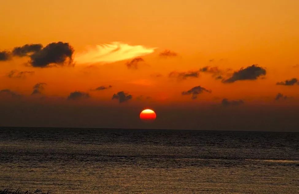 吵翻了!上海16个区终于正面PK!哪个是你心中的“扛把子”?