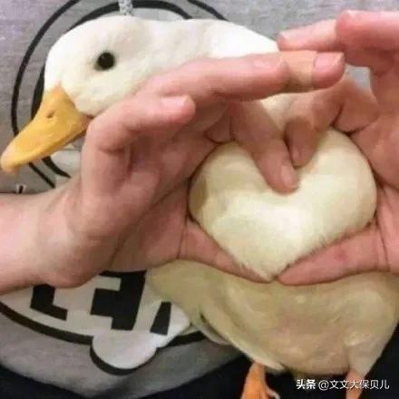 理赔实例丨胆囊癌癌症靶向药+免疫疗法，百万医疗理赔55355.97元