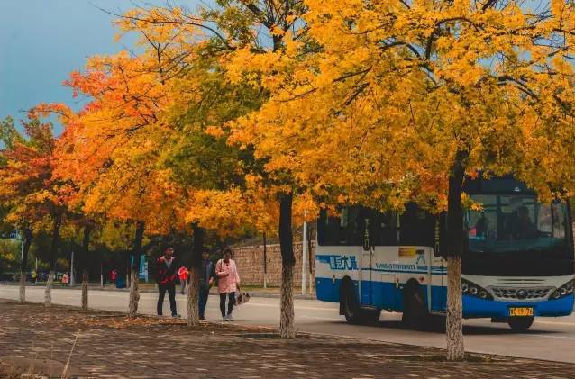 高校网红食堂盘点,河北一高校网红食堂