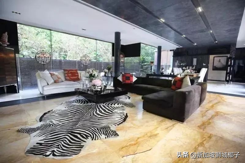 新加坡柏皓顶级豪宅户型图,新加坡乌节路豪宅铂瑞雅居