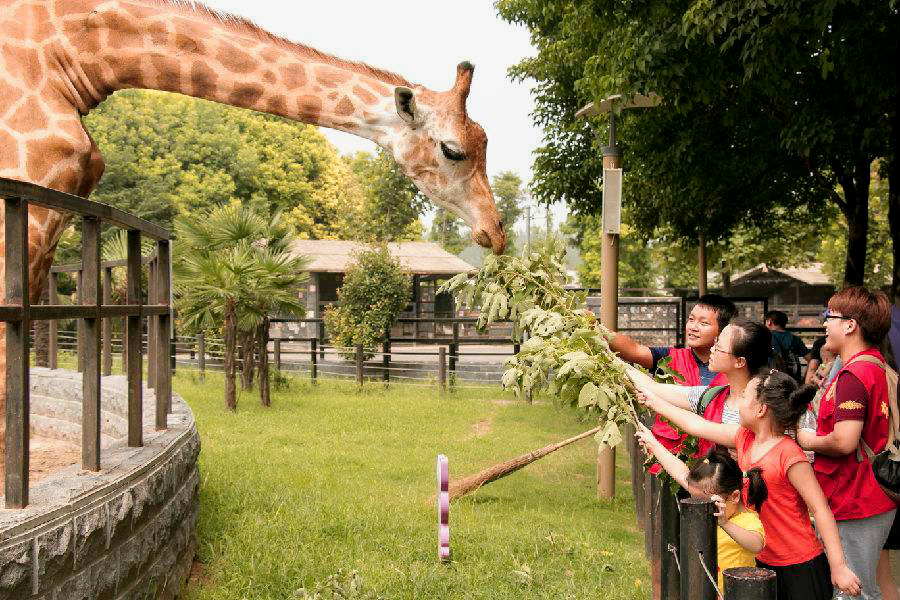 三岁之前不要带孩子去寺庙,带孩子去寺庙祈福回来经常受伤