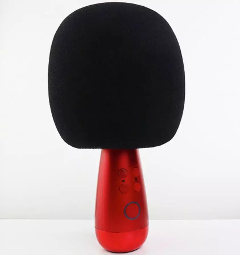 春运回家带行李,春运回家需要带什么东西