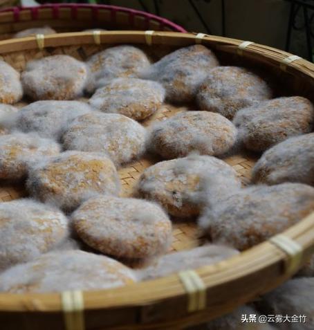 家庭自酿黄豆酱（酱油）-感受食品发酵的神奇