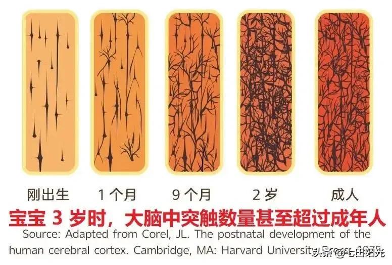 七田阳光大孩子教什么,七田阳光对孩子有用吗