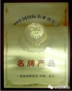 东莞大岭山镇：湾区制造名镇，再来一场文化突围