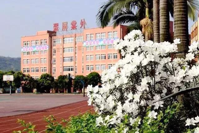 成都十大私立名校,成都四大私立系学校