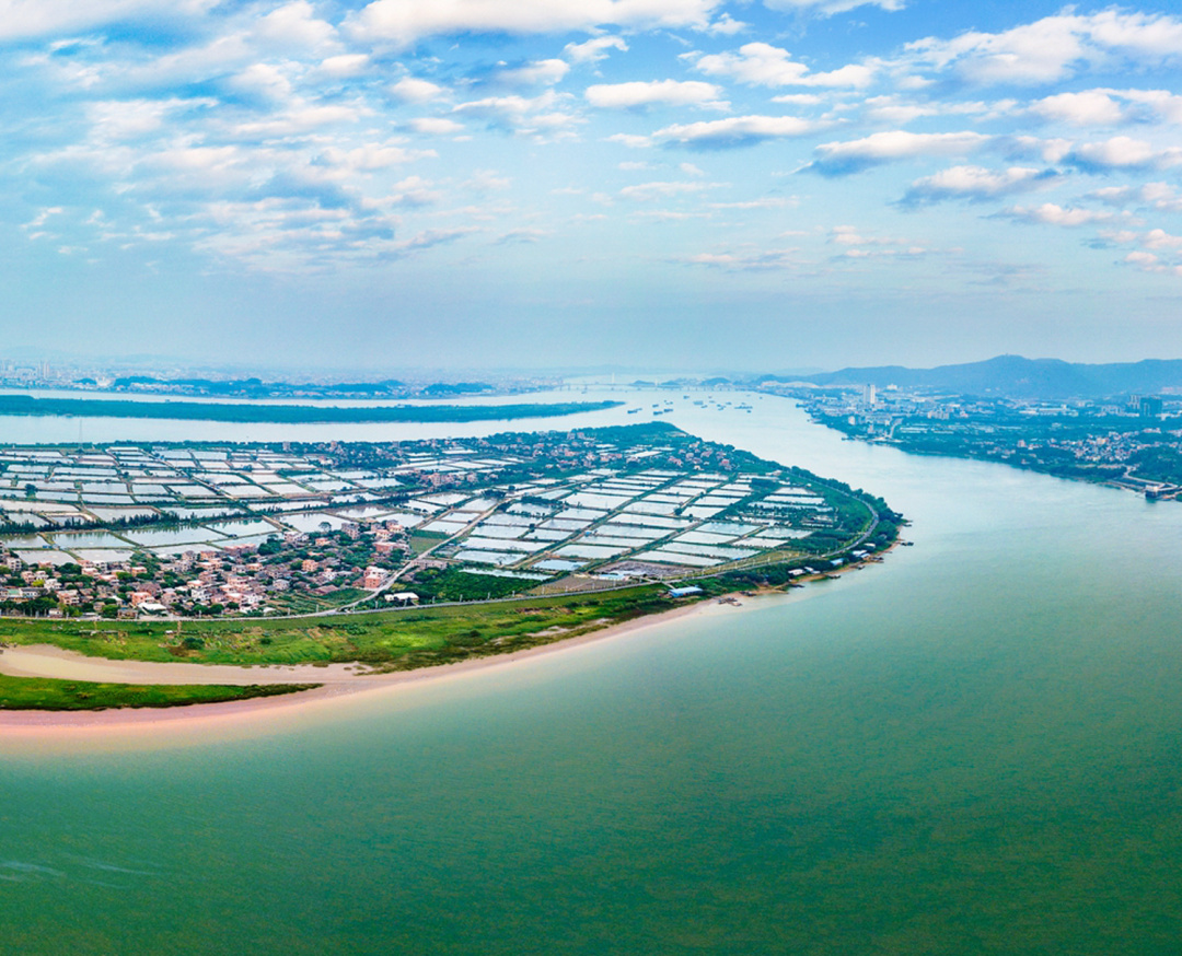 佛山是怎么成为武术之乡的？