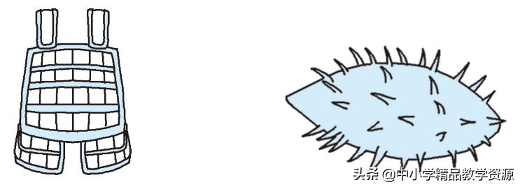 植物妈妈有办法二年级上课文仿写,二年级上册植物妈妈有办法课文