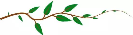 油性皮肤毛孔粗大怎么化妆不卡粉,油性皮肤怎样化妆不卡粉不脱妆