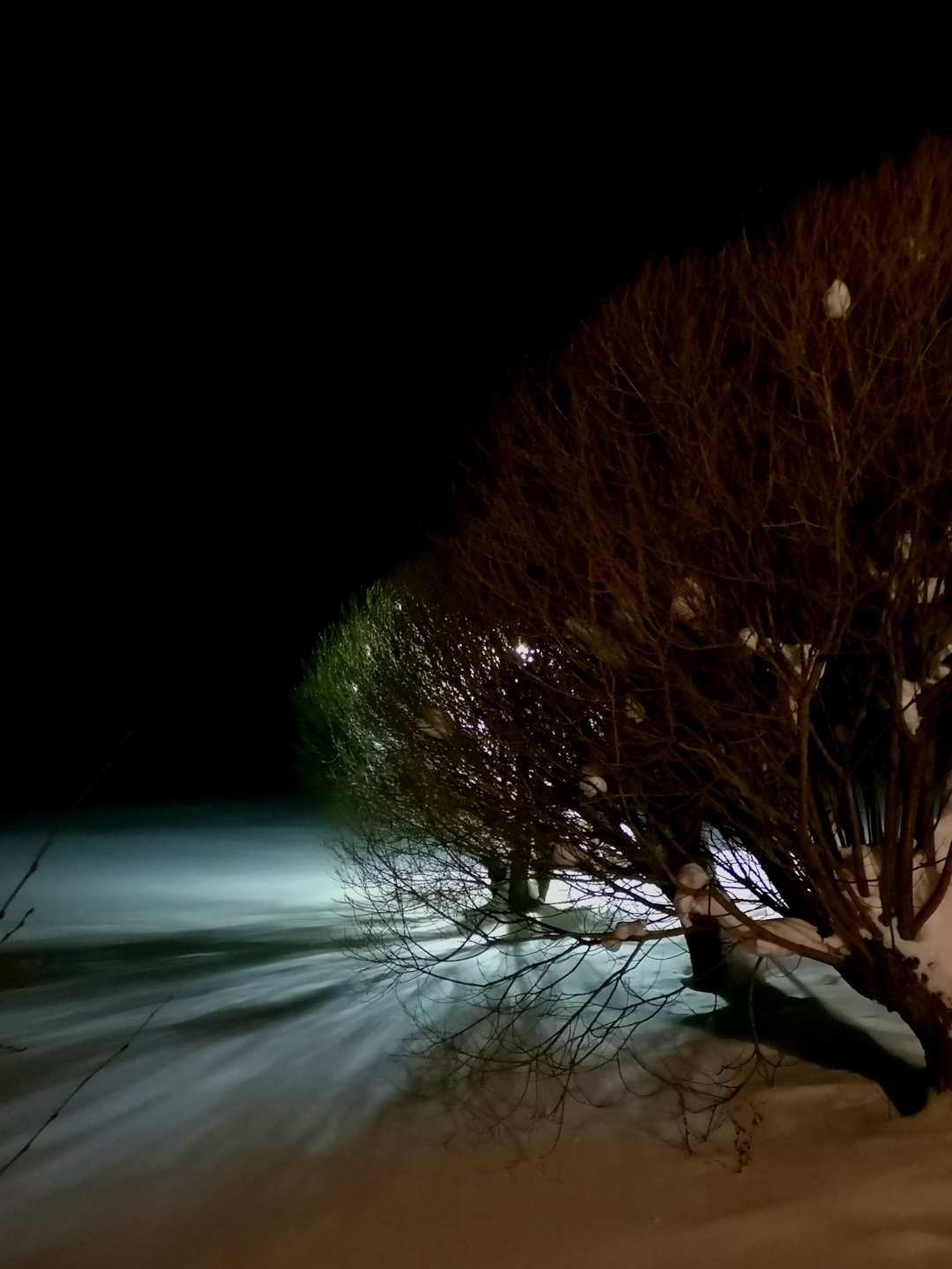 寒冬将至，2019冬季的魔力Taikatalvi-芬兰冬季文化营回顾