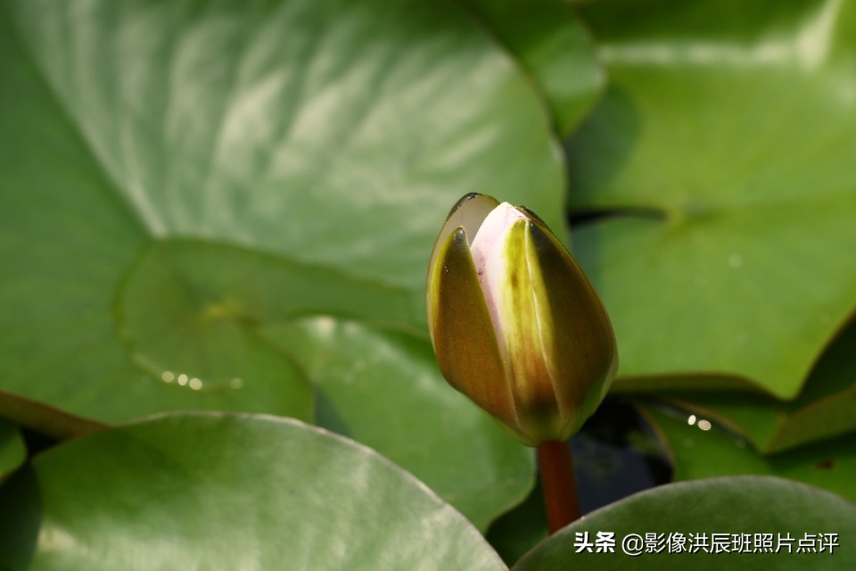 单反镜头有哪些小毛病,单反镜头容易碎吗为什么