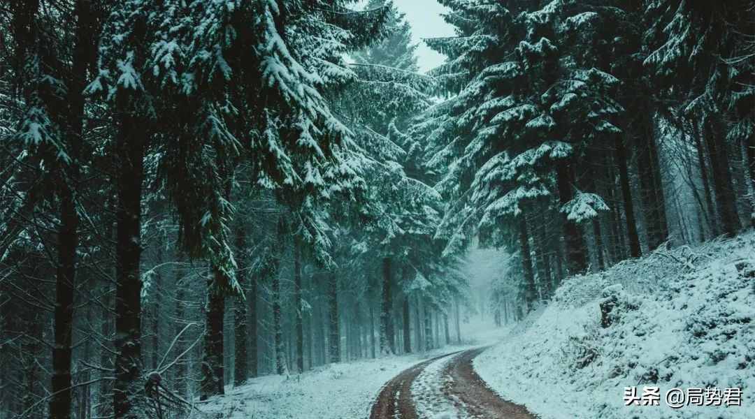 全球森林面积最低的国家排名,亚洲面积最大的人工红松森林