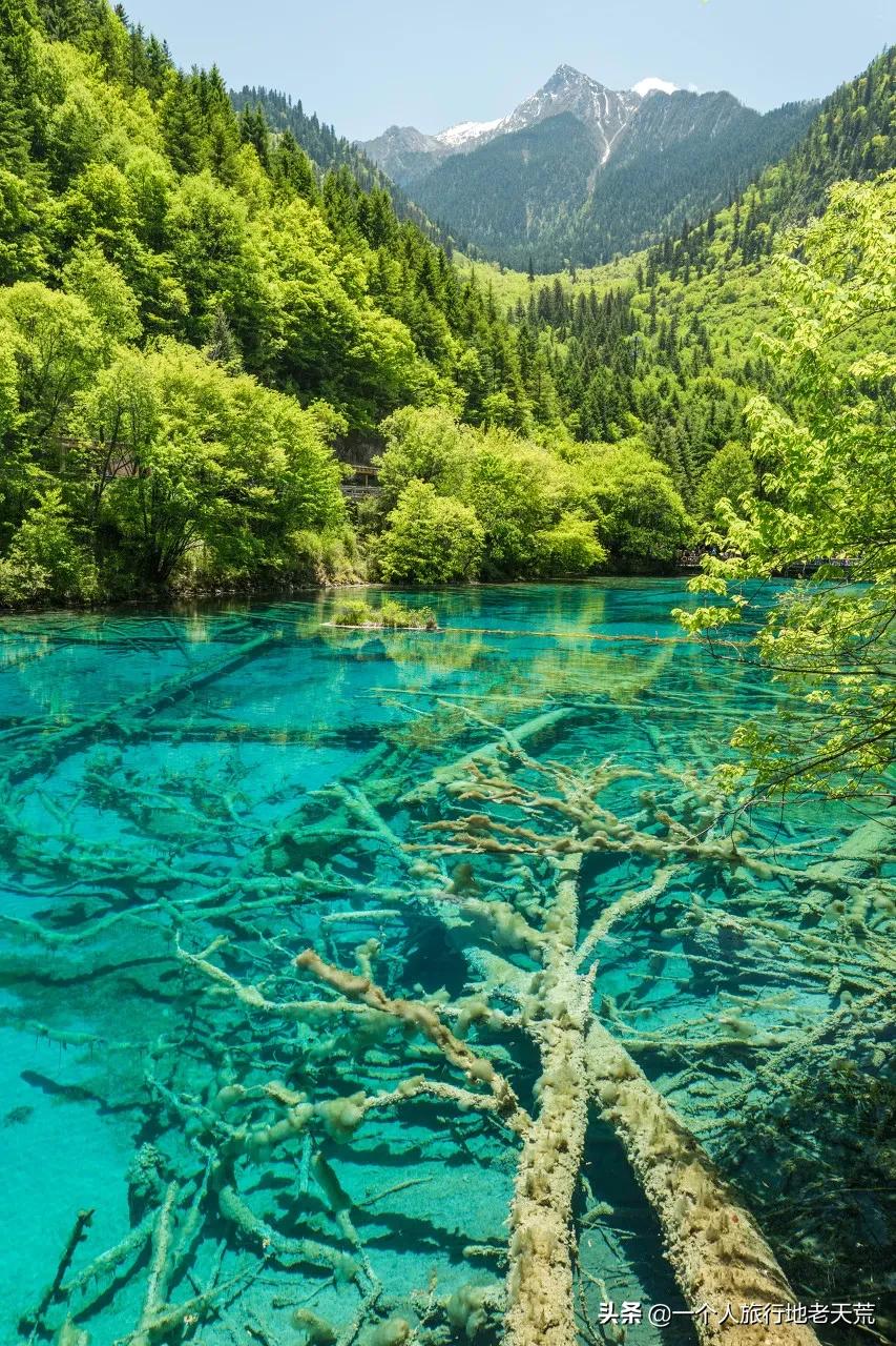 忽然想去自驾游了,想去川西看星空