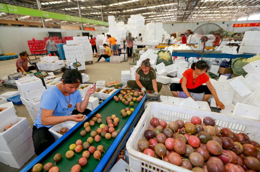 拼多多上的百香果，吃货就知道加蜂蜜，当地农民却靠它盖房娶老婆