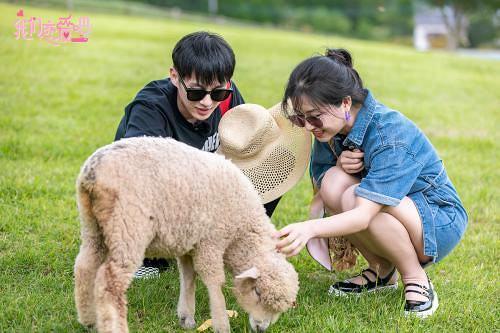 我们恋爱吧墨墨追别人,我们恋爱墨墨和谁在一起了