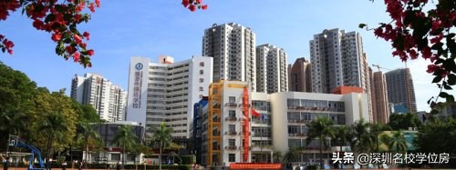 深圳市民办初中学校排名,深圳十大民办初中学校排名