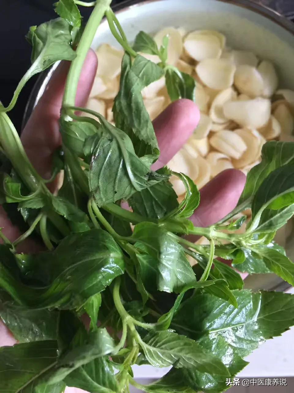 药食同源目录大全集,药食同源二十八课