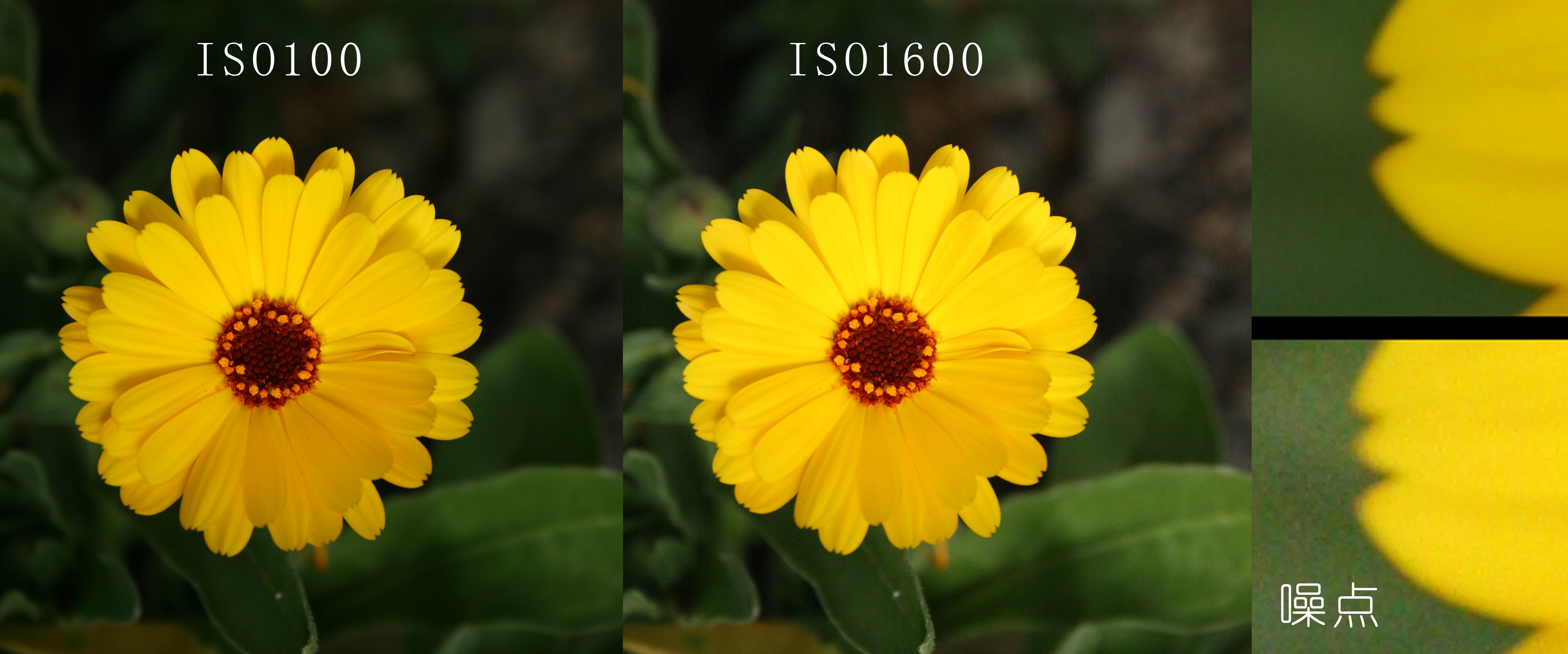 单反拍摄知识,单反镜头的术语大全