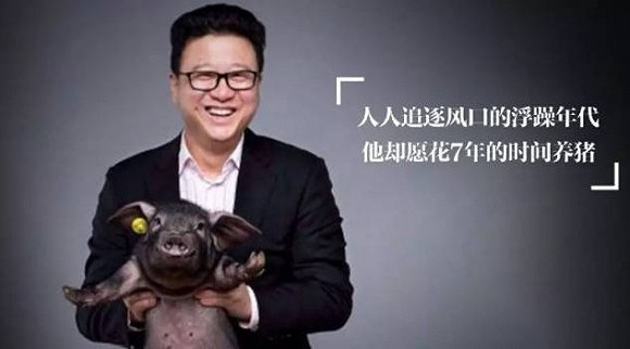 阿里收购网易考拉后的发展,网易考拉收购目标