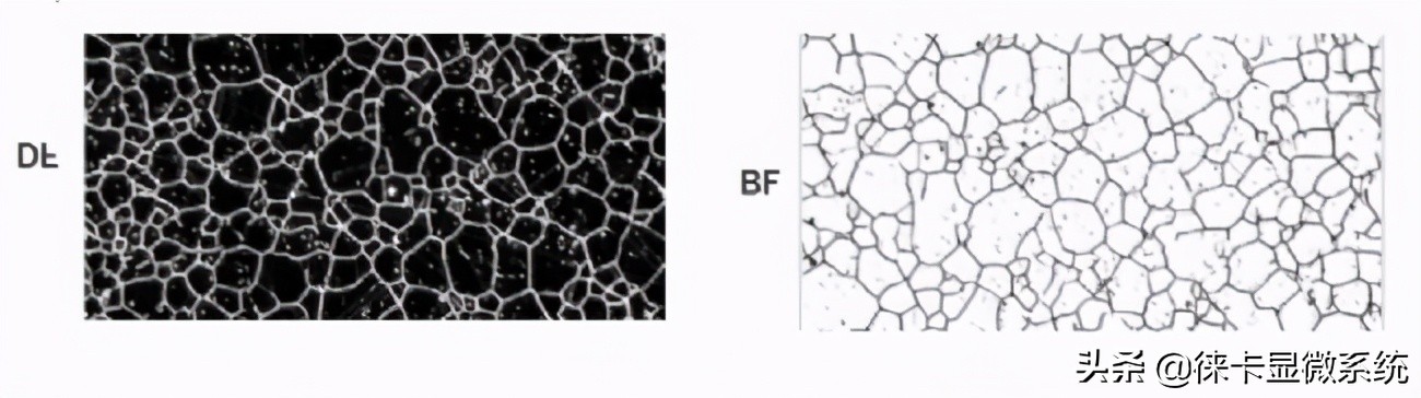 徕卡显微镜保养修理,徕卡显微镜使用视频