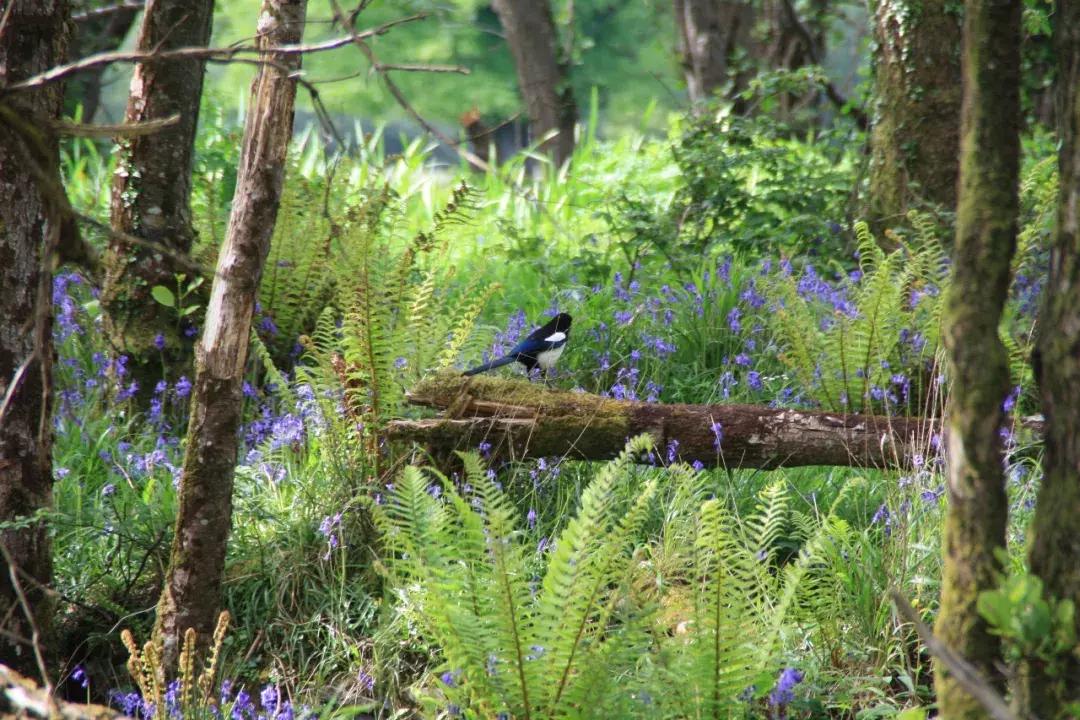 世界上唯一不允许结婚的国家,世界唯一一个不可以离婚的国家