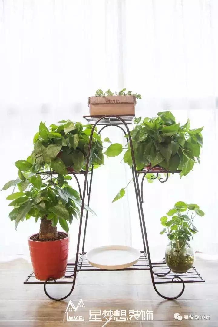 【陌上花开共流年】十堰四方新城140㎡实景拍摄