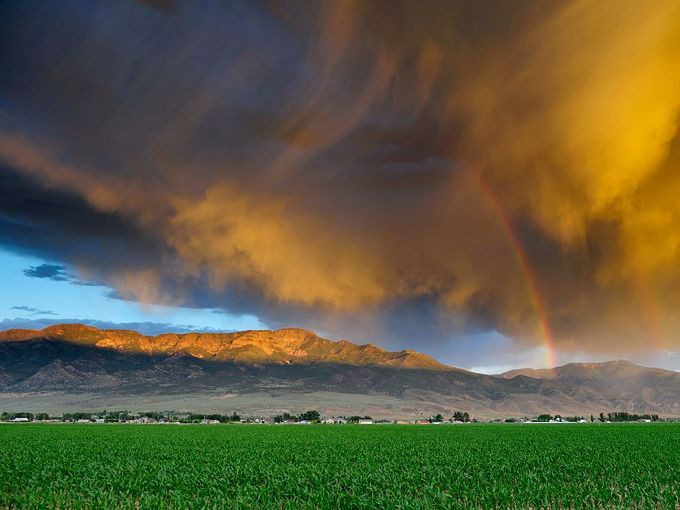 文学理论常识,文学理论吐血整理