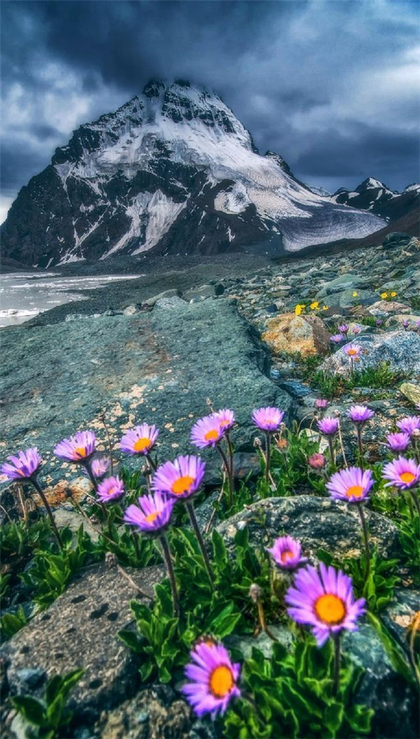 送你一张绝美壁纸,送你一张超美竖屏壁纸